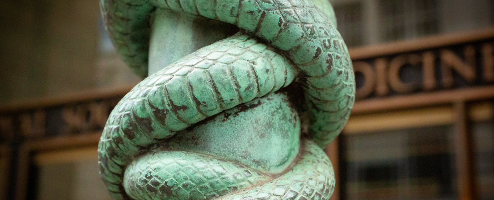 Snake lamp post close up - Promo