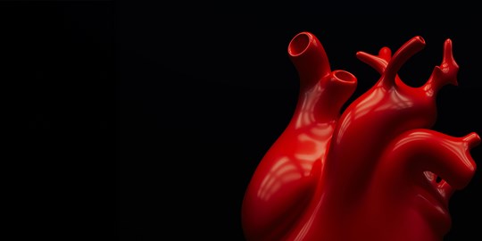 Cardiology General Days - Promo